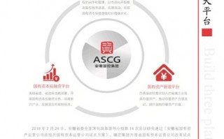 国有资本运营公司，山西省国有资本运营公司