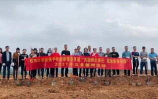 义务代运营，义乌代运营